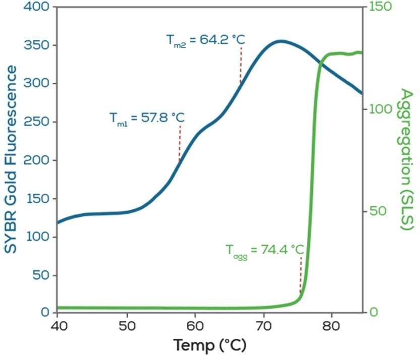 Discover Uncle—An all-in-one screening platform