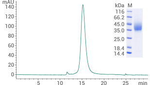 Purity ≥ 95% (SEC-HPLC).