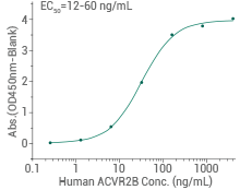 Immobilized Human, Mouse, Rat, Cynomolgus, Rhesus Activin A (Cat#: 10429-HNAH) can bind Human ACVR2B.