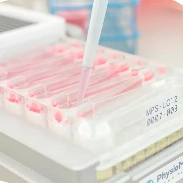 In Vitro contract research services for quick access to OOC technology