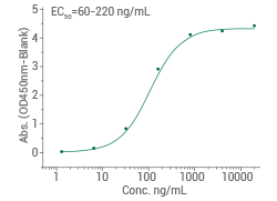 Immobilized mouse CSF1 (Cat#: 51112-MNAH) at 2 μg/ml (100 μl/well) can bind mouse CSF1R-Fch.