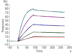Captured Adalimumab on Anti-human IgG Fc via CM5 Chip can bind TNF-α (Cat#: 10602-HNAE) with an affinity constant of 0.2843 nM as determined in a SPR assay (Biacore T200) (Routinely tested).