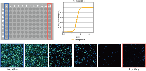 Optimizing cell imaging processes with CellPathfinder