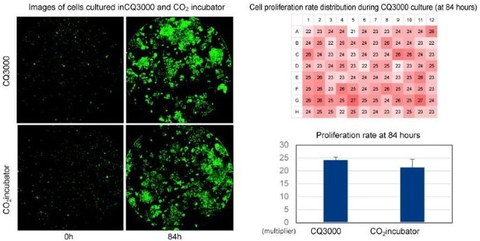 CellVoyager CQ3000: Fast, high-resolution 3D imaging for cell culture
