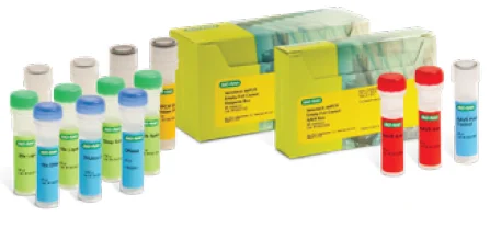 High-accuracy AAV capsid measurement made simple with the Vericheck ddPCR kit