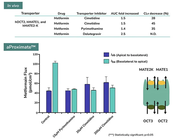 Predictions of drug/transporter interactions in aProximate™ showing a reduction in renal clearance of metformin upon inhibition of OCT and MATE transporters, comparable to that observed in vivo