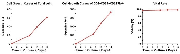 GMP ActiveMax® human T cell magnetic beads