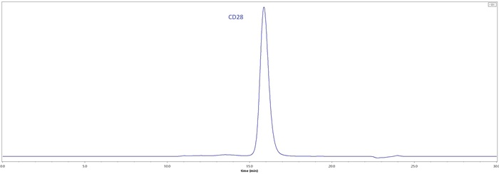 GMP-grade monoclonal anti-human CD28 antibody
