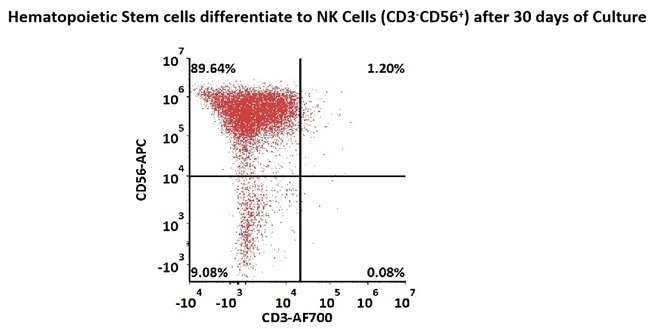 GMP-grade human DLL4 protein