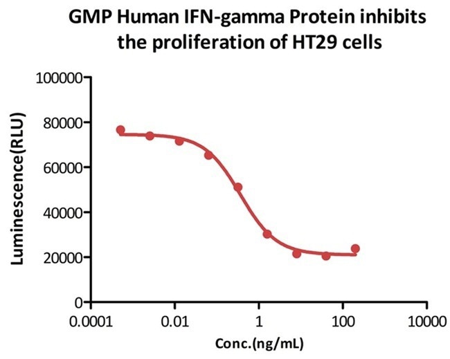GMP-grade human IFN-gamma protein