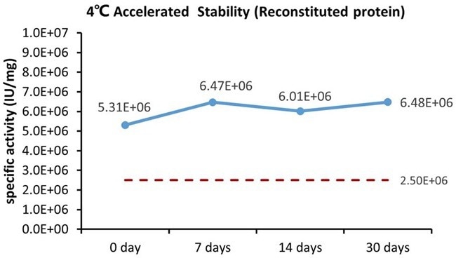 GMP-grade human FGF basic protein