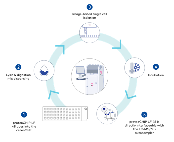 proteoCHIP product line - High-throughput proteomics sample preparation