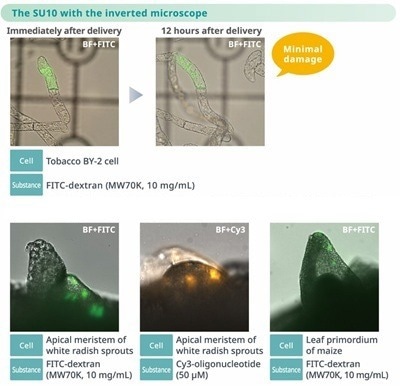 Single Cellome™ Unit SU10: Single-cell targeting with direct delivery