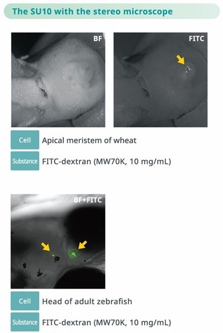 Single Cellome™ Unit SU10: Single-cell targeting with direct delivery
