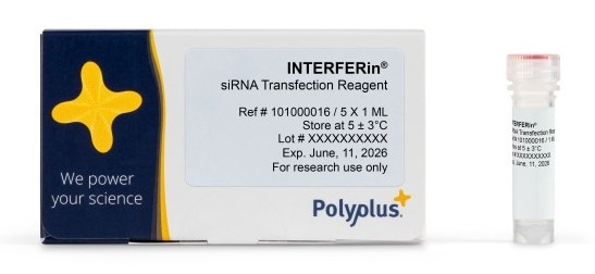 Enhancing siRNA/miRNA transfection efficiency with INTERFERin®