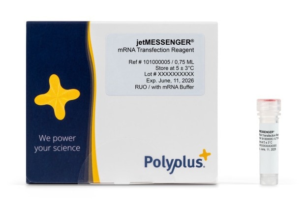 High-efficiency mRNA transfection for reliable gene expression with jetMESSENGER®