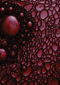 Chromogranin A ELISA: The best marker for diagnosis of neuroendocrine tumors