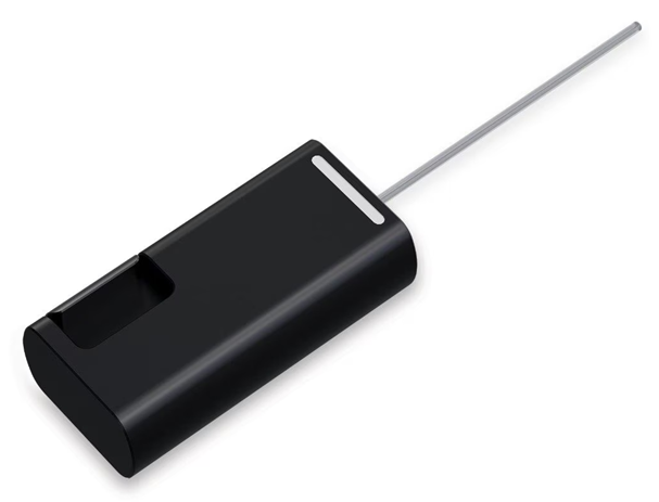 Fill the capillary with the sample