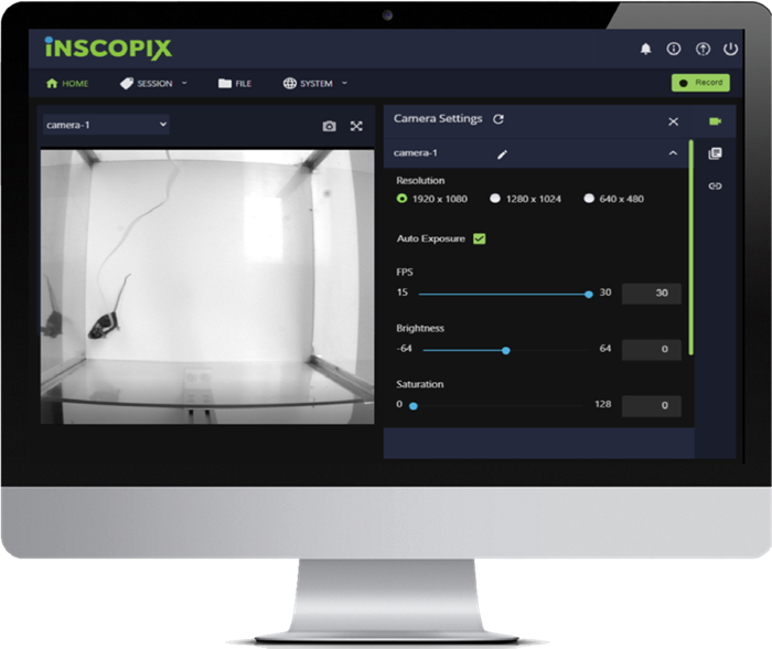 Neural circuit imaging with the nVista 2P miniscope