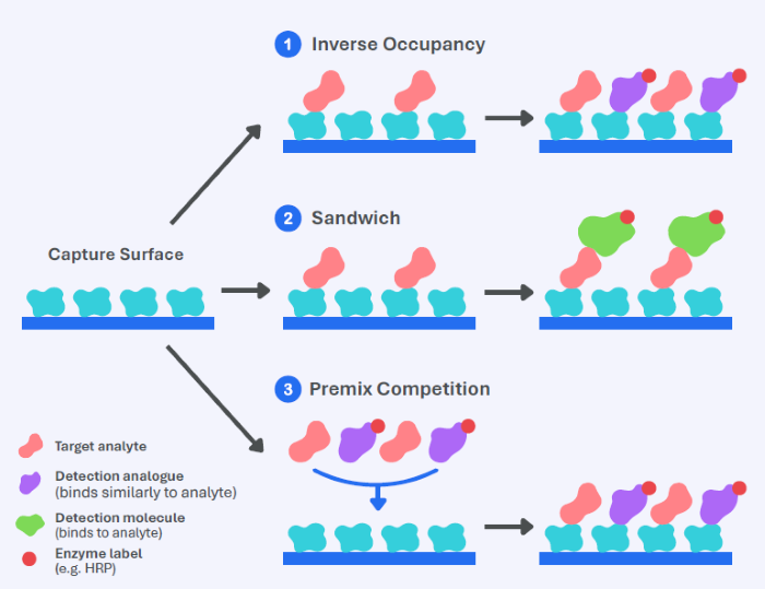Assay formats supported on the Amperia platform. Each format uses dip-style sensors with a capture surface but differs in binding order and signal behavior: (1) Inverse Occupancy; (2) Sandwich; (3) Premix Competition