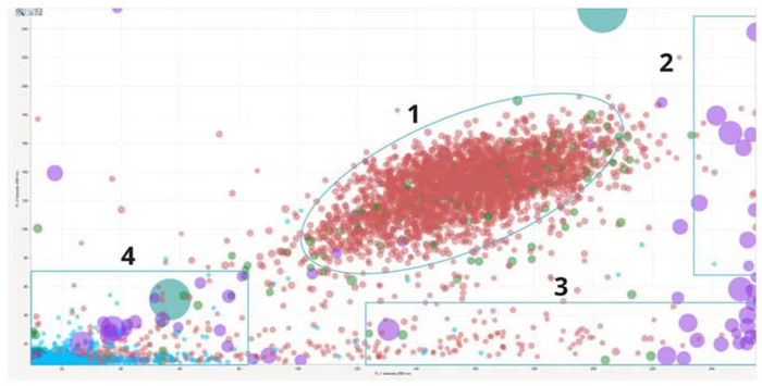 Identify cell doublets and triplets (1), cellular aggregates (2), protein aggregates (3), and plastic contaminants (4) in a cell therapeutic sample.