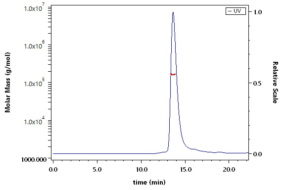 The purity of Human APOE3 Protein, Tag Free (Cat. No. APE-H5216) is more than 90 %, and the molecular weight of this protein is around 142-168 kDa, verified by SEC-MALS.