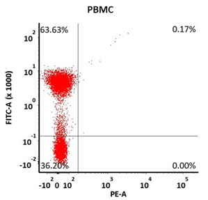 ACROBiosystem's PE-Labeled Human CD19 (20-291) Protein, His Tag