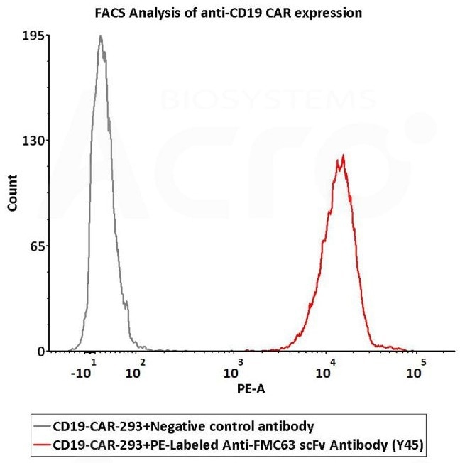 5e5 of the Anti-CD19 CAR-293 cells were stained with 100 μL of 1:50 dilution (2 μL stock solution in 100 μL FACS buffer) of PE-Labeled Monoclonal Anti-FMC63 Antibody, Mouse IgG1 (Cat. No. FM3-HPY53) and PE-Labeled Monoclonal Mouse IgG1 Antibody Isotype Control (Cat. No. DNP-PM1) respectively, PE signal was used to evaluate the binding activity (QC tested)