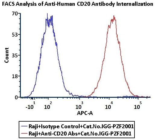 ACROBiosystem's Antibody Internalization Detection Reagent