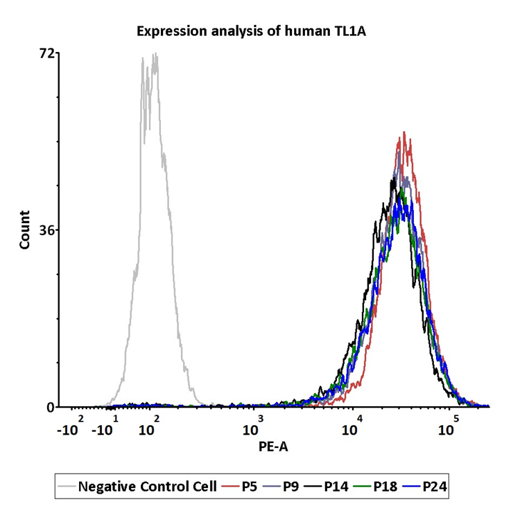 ACROBiosystem's HEK293/Human TL1A Stable Cell Line