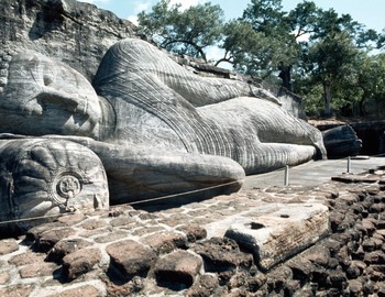 Sleep, a vital ingredient in life, can sometimes become difficult as humans get older. But a recent study by researchers at Case Western Reserve University