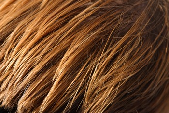 Hair grows quickly and is continually replenished which makes it an attractive source to harvest the amount of stem cells needed for treatments, but this, along with controversy surrounding the ethics of harvesting cells from embryos, has been a major stumbling block of stem cell research.