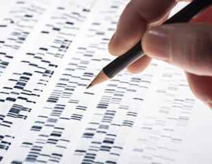 Mapping regeneration in 3D: Advancements in neural and muscle analysis