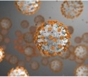 Siemens Healthineers releases test kit for coronavirus COVID-19