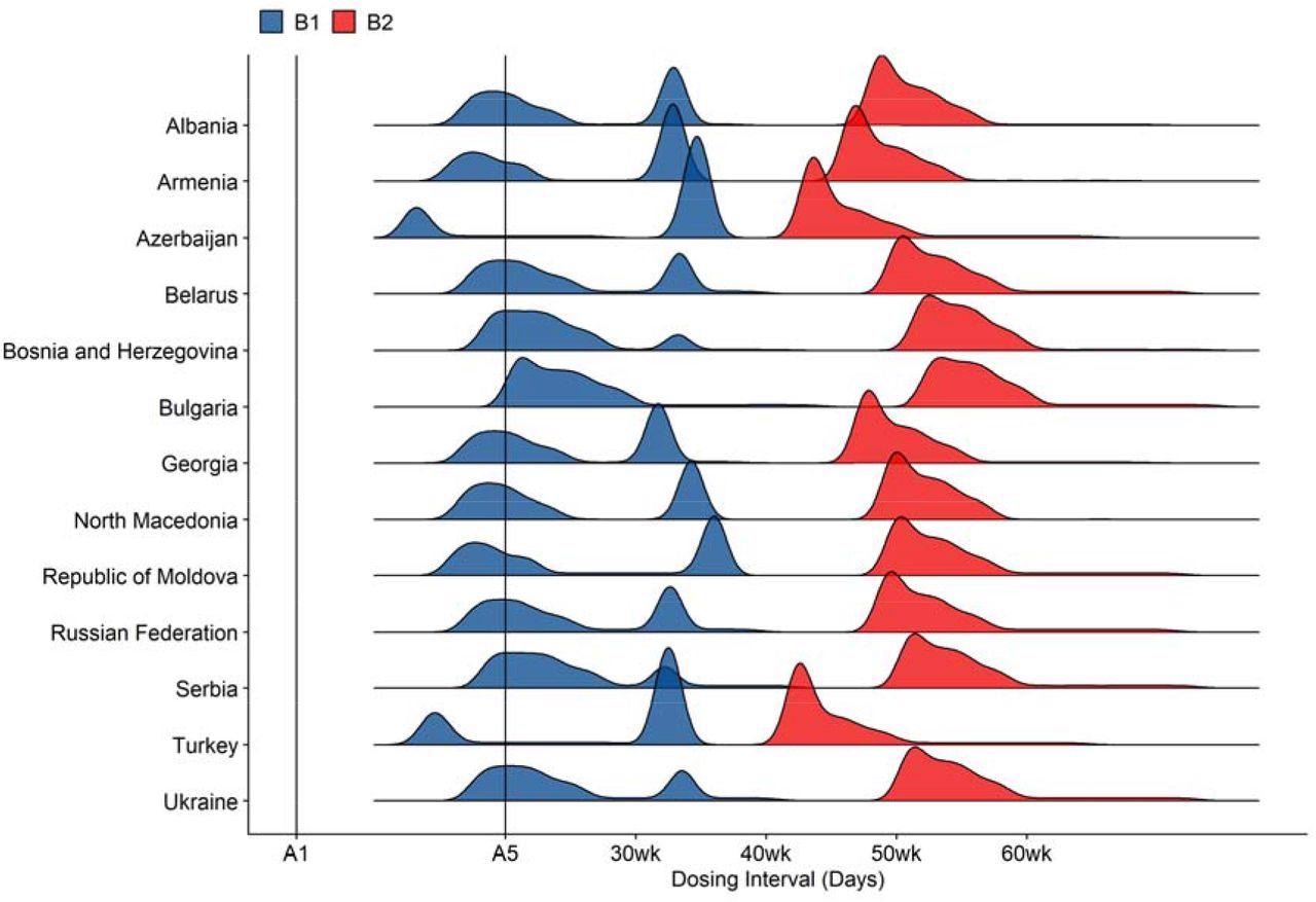 COVID-19 dosing intervals under strategies B1 and B2. These dosing strategies do not prescribe fixed dosing intervals. Vaccine allocations depend on whether or not coverage goals have been met in certain target groups. The distributions are outputs from dose allocation algorithms that capture such conditional relationships. Refer to Table 1 for descriptions of vaccination strategies.