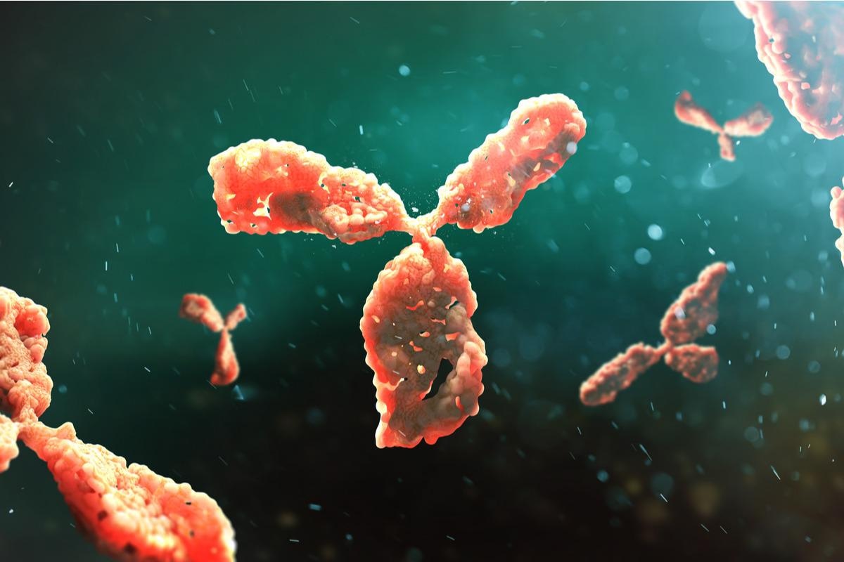 Study: A large-scale systematic survey of SARS-CoV-2 antibodies reveals recurring molecular features. Image Credit: Andrii Vodolazhskyi/Shutterstock