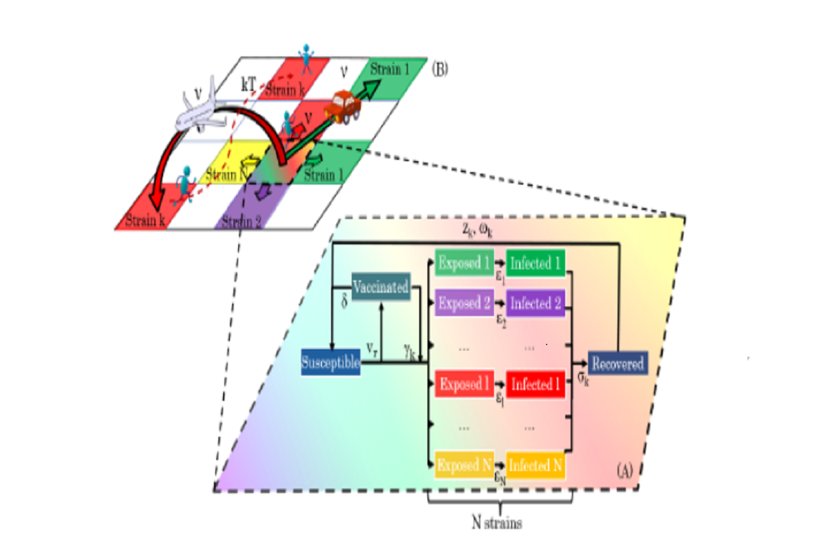Figure 1: Diagram showing the geo-stochastic model scheme. (A) represents the local dynamics. Susceptible, Recovered, Vaccinated, Exposed and Infected with different strains, are taken into account. Vaccinated people can get infected with a certain variant k with a γk probability. The exposed, infectious and immune periods for the k− th strain are εk, σk and ωk, respectively. The variables vr and δ stand for the vaccination rate and the immunity period conferred by the vaccine. (B) The global dynamics on a geographical area, divided into a grid of cells, is followed by placing a SEIRS-V model on each one and allowing contagions between them. Three mobility processes are considered: movement to neighbor and far cells and thermal noise.
