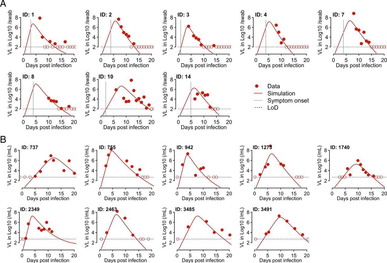 Fitting results of the innate response model to the VL data from two studies. (A) Fitting results to data from eight individuals in the Germany study [i.e., Wolfel et al. (3)]. The model (solid lines) was simulated using the best-fit individual parameter values estimated by a nonlinear mixed effect modeling approach (Tables 1 and 2). The symbols (red dots and circles) show the data from pharyngeal swabs. The circles indicate data points below the limit of detection (LoD). Vertical gray lines denote the time of symptom onset as reported in ref. 19. Horizontal dashed black lines show the LoD. (B) Fitting results to data from nine individuals in the NBA study as reported in Kissler et al. (20) with symbols and colors as in A.