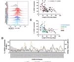 Defensosomes can act as decoys to protect against SARS-CoV-2