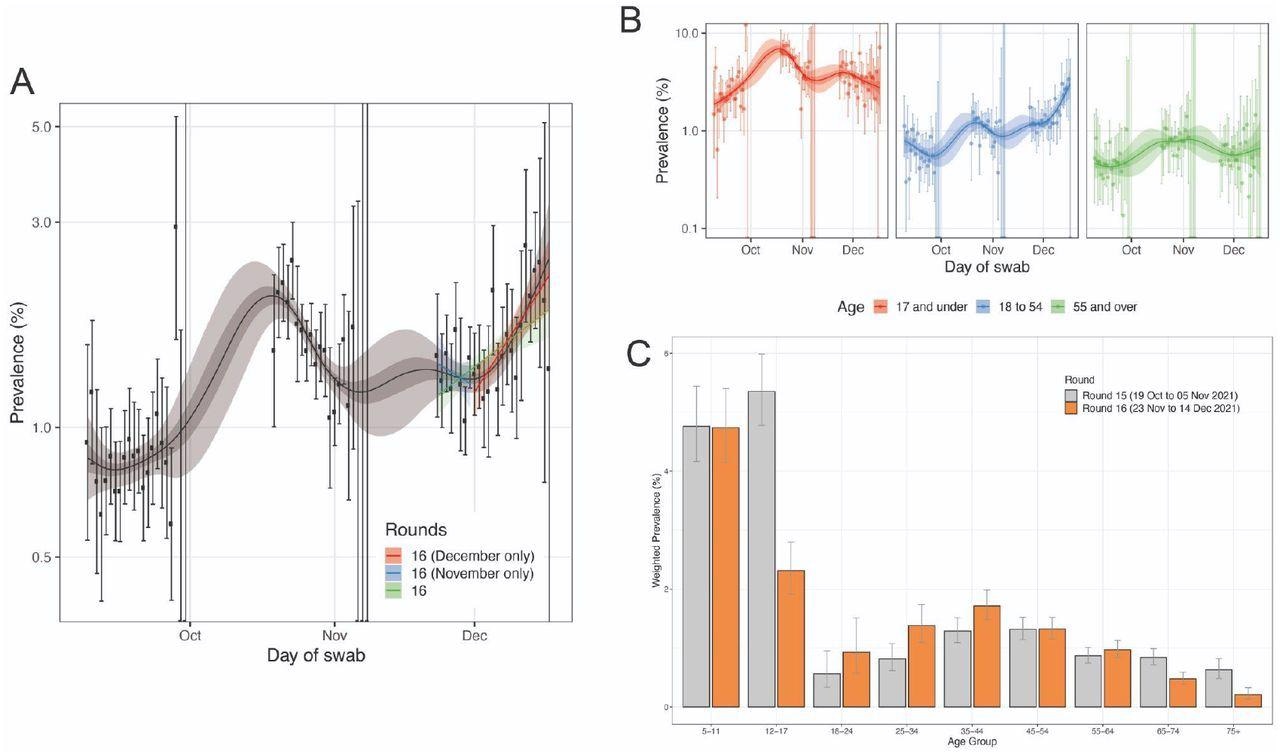 (A) Comparison of exponential model fits to round 16 (green), round 16 from 23-30 November (blue) and from 1 December onwards (red) in addition to a P-spline model fit to all rounds of REACT-1 (black, shown here only for rounds 14, 15 and 16). Shaded blue and red regions show the 95% posterior credible interval for the exponential models, and the shaded grey region shows 50% (dark grey) and 95% (light grey) posterior credible interval for the P-spline model. Results are presented for each day (X-axis) of sampling for round 14, round 15 and round 16 and the prevalence of swab positivity is shown (Y-axis) on a log scale. Weighted observations (black dots) and 95% confidence intervals (vertical lines) are also shown. (B) P-spline models fit to all rounds of REACT-1 for those aged 17 years and under (red), those aged 18 to 54 years inclusive (blue) and those aged 55 years and over (green). (C) The weighted prevalence of swab positivity by age group for round 15 and round 16. Bars show the prevalence point estimates (grey for round 15 and orange for round 16), and the vertical lines represent the 95% confidence intervals.