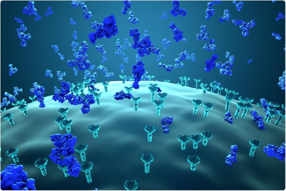Study: Antibody binding and ACE2 binding inhibition is significantly reduced for the Omicron variant compared to all other variants of concern. Image Credit: Design_Cells / Shutterstock.com