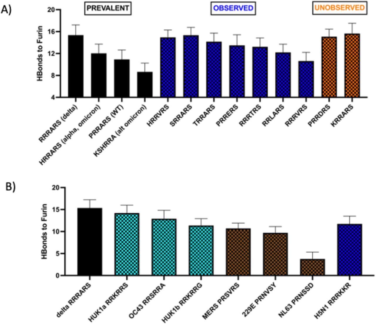 A) FCD-furin hydrogen bond counts between furin and SARS-CoV-2 binding sequences at 681-686 of the spike protein. The first four bars are prevalent forms (WT, delta, omi-cron/alpha, and alt omicron where we assume the sequence starts at position 679. The blue sequences are rare but observed in the GISAID (19) database; of these HRRARN and SR-RARS bind as strongly to furin within statistical accuracy as the delta sequence (RRRARS). The two unobserved sequences require double base mutations from existing extant codons but bear watching because of their strong binding to furin. B) FCD-furin hydrogen bond counts between furin and other viruses. The SARS-CoV-2 delta variant shows the strongest binding of any human coronavirus and exceeds the H5N1 influenza cleavage site.