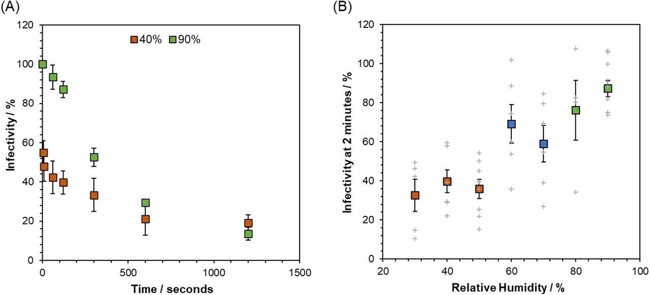 The Short-Term Airborne Decay of SARS-CoV-2. Datapoints are the mean of several measurements (typically />4) and error bars show the standard error. Measurements were carried out at room temperature 18 – 21°C. (A) The percentage infectivity of SARS-CoV-2 REMRQ0001 as a function of time levitated in CELEBS at 40% RH (orange) and 90% RH (green). (B) Curve showing the impact of RH on the percentage infectivity of SARS-CoV-2 REMRQ0001 after 2 minutes of levitation in CELEBS. The larger colored square points show the mean, with the error bars showing the standard error. Grey crosses show the results of individual measurements.