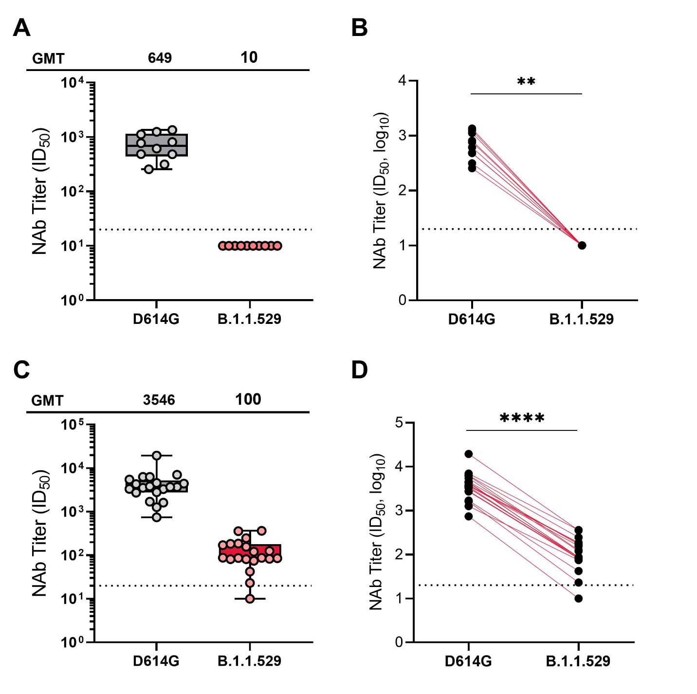 Neutralization of SARS-CoV-2 pseudoviruses in serum samples at 1-month post mRNA-1273 primary series (A and B) and 2 weeks post mRNA-1273 booster (C and D). obtained from participants enrolled in the mRNA-1273 vaccine phase 2 open-label study wherein participants who received a 2-dose primary series (100 μg) during the double-blind phase of the trial received a single booster dose of mRNA-1273 (50 μg). For Panels A and B, samples were collected at Day 57 (1 month following the primary series) and for panels C and D, samples were collected at day 15 (2 weeks following the booster dose). A recombinant vesicular stomatitis virus-based pseudovirus neutralization assay was used to measure neutralization. The pseudoviruses tested incorporated D614G (WT) or the spike substitutions present in B.1.1.529 (Omicron). The reciprocal neutralizing titers on the pseudovirus neutralization assay at ID50 are shown. In panels A and C, boxes and horizontal bars denote the IQR range and the GMT, respectively. Whisker endpoints are equal to the values below or above the median at 1.5 times the IQR. In panels B and D, the colored lines connect the D614G and B.1.1.529 neutralization titers in matched samples. A 2-tailed Wilcoxon matched-pairs signed-rank test was performed (**, P<0.01; ****, P<0.0001). In all panels, the dots represent results from individual serum samples, and the dotted line represents the lower limit of quantification for titers at 20 ID50.