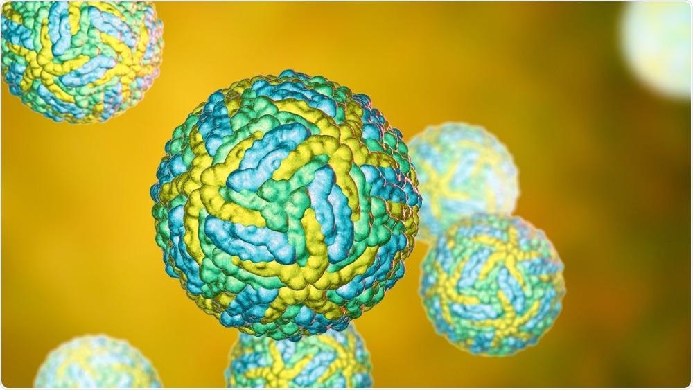 Study: N-acylethanolamine acid amide hydrolase is a novel target for drugs against SARS-CoV-2 and Zika virus. Image Credit: nechaevkon / Shutterstock