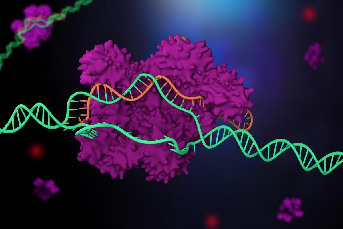 Study: Rapid detection of multiple SARS-CoV-2 variants of concern by PAM-targeting mutations. Image Credit: Meletios Verras/Shutterstock