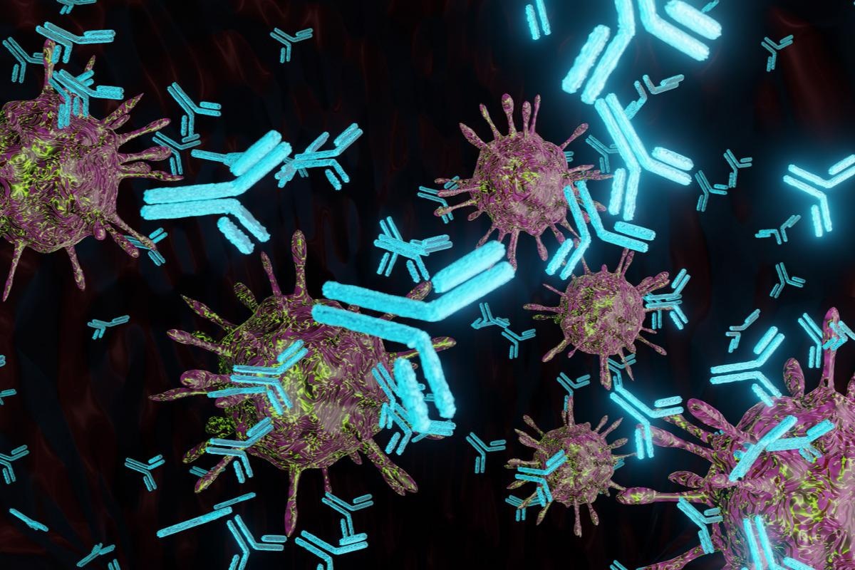 Study: Potent Neutralization of Omicron and other SARS-CoV-2 Variants of Concern by Biparatopic Human VH Domains. Image Credit: LuXiFeR Bowlo/Shutterstock