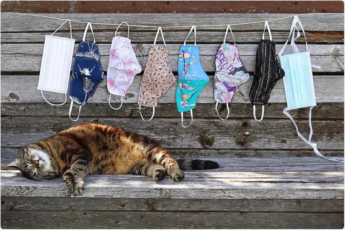 Study: SARS-CoV-2 Delta Variant (AY.3) in the Feces of a Domestic Cat. Image Credit: Astrid Gast / Shutterstock