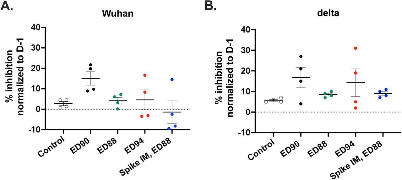 Immunization with ED90 increases neutralizing antibodies in nasal samples to both Wuhan and delta by D58 post-vaccination. percent inhibition of ACE2 binding in nasal samples to full length S protein A) Wuhan (B) delta variant (B.1.617.2) assessed by SVNT assay on D58. Data normalized to percent inhibition on D-1, SEM (n = 4).