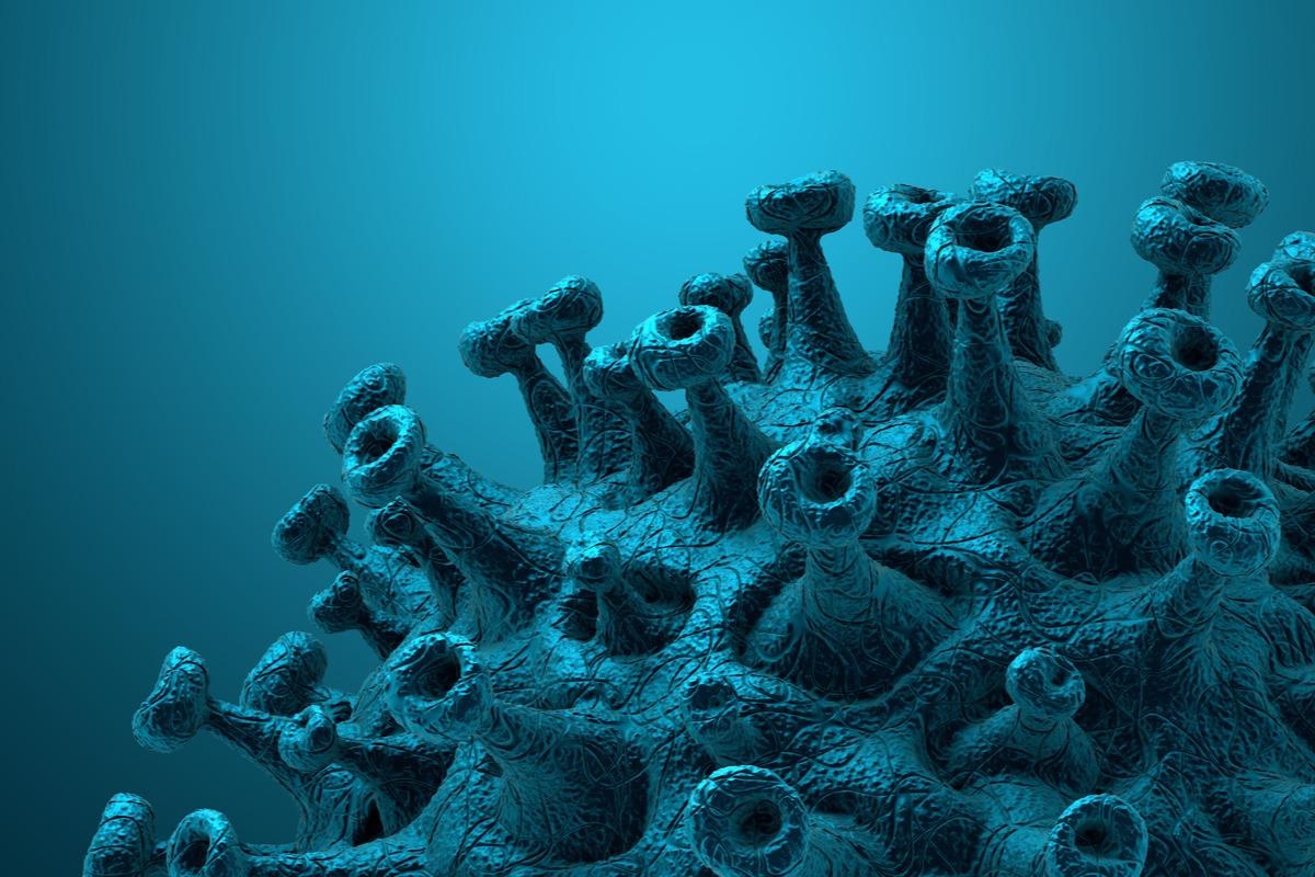 Study: Drivers of adaptive evolution during chronic SARS-CoV-2 infections. Image Credit: CROCOTHERY/Shutterstock